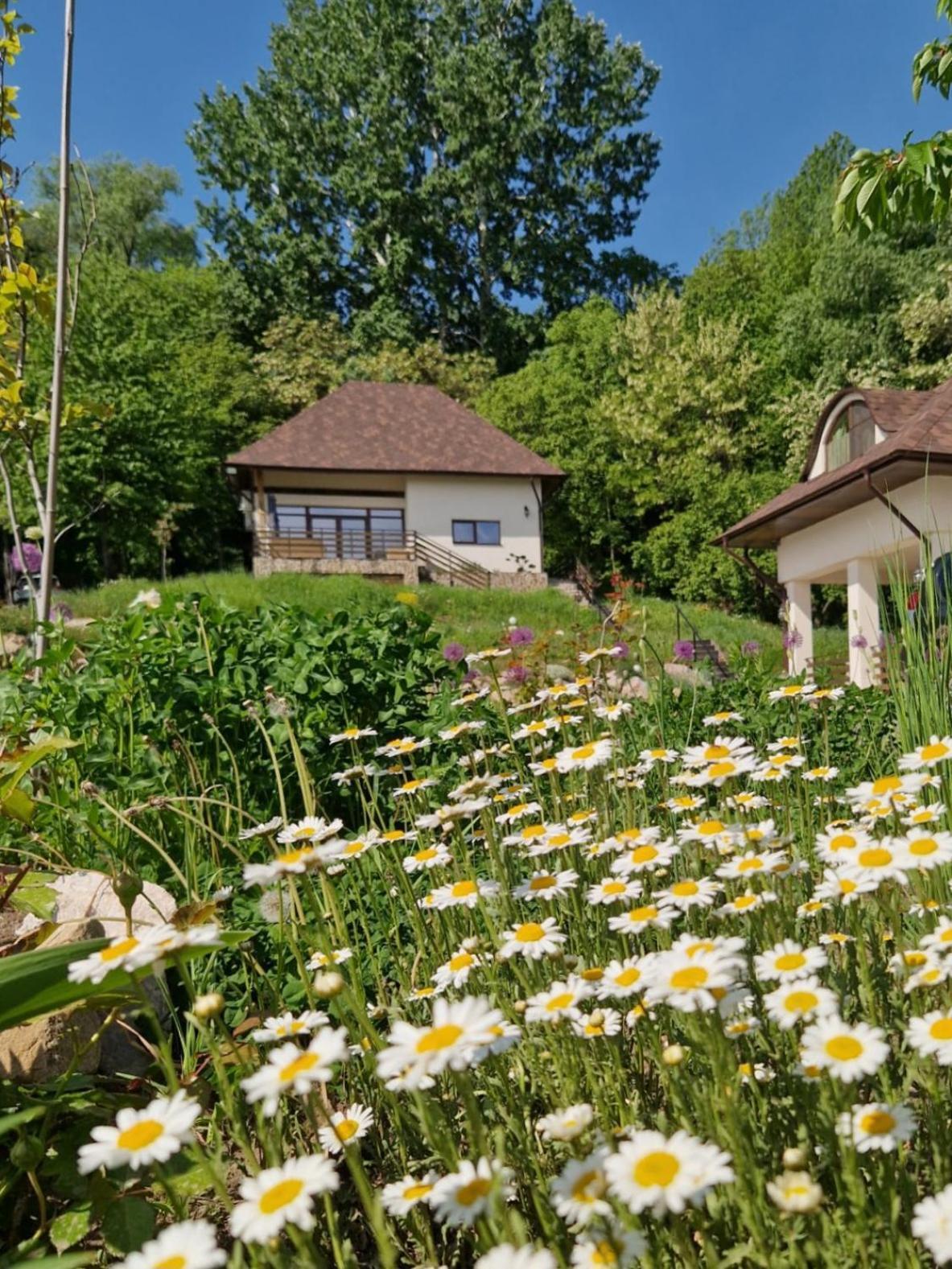 Provence Suceava酒店 外观 照片